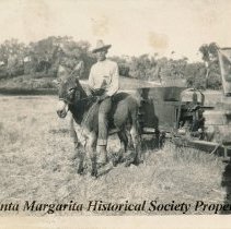 Man in a hat on a small donkey pulling some sort of machinery.