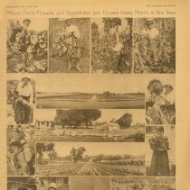 The Illustrated Review July 1918