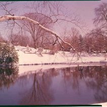 Auburn Lake in Snow