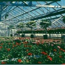 Greenhouses