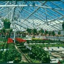 Greenhouses Interior