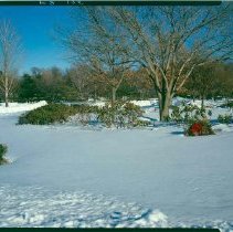 Meadow area in snow