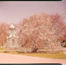 White Mausoleum