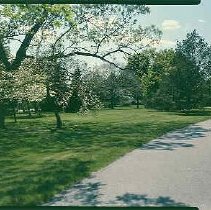 Proposed Garden Crypt Site