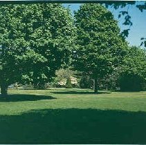 Propsed Garden Crypts Site