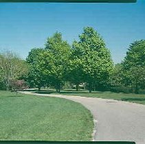 Proposed Garden Crypt Site