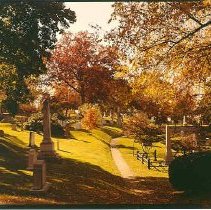 Fall Color on Pyrola Path