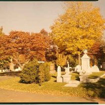Central Avenue in Fall