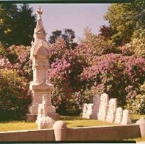 Rhododendron Asphodel Path