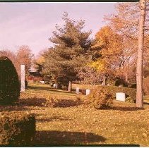 Dogwood Path 1970