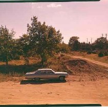 Site for new greenhouses