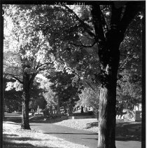Oak Avenue at Magnolia Avenue