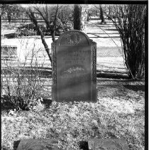 Shaler, Nathaniel Southgate, M