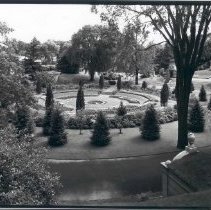 Asa Gray Garden