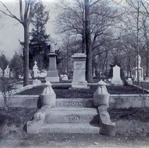 Lot 1201 Ailanthus Path