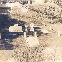 Lot 382, Narcissus Path