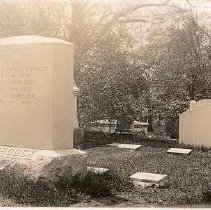 Lot 342, Celastrus Path