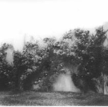 Perimeter Fence: Concrete, Col