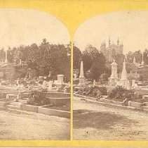 View, Asa Gray to Bigelow Chap