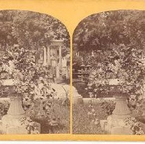 Vase near Harnden Monument, Ce