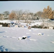 Meadow Section Snow Scene, Winter 1974.