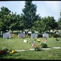 Meadow after Memorial Day, 1985.