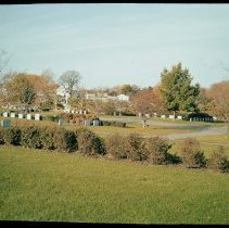 Meadow Area, Fall 1970.