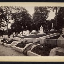 Edwin Booth Lot, Anemone Path