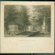 View on Harvard Hill.