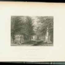 View on Harvard Hill.