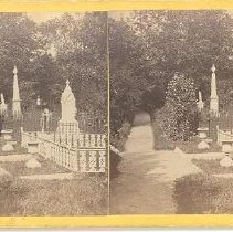 Spruce & Eglantine, near Wiggl