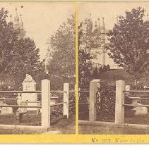 Lot with Gate & Furnishings