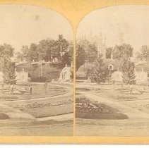 Asa Gray Garden, Bigelow