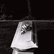 Waldo Merriam Monument