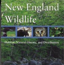 New England Wildlife