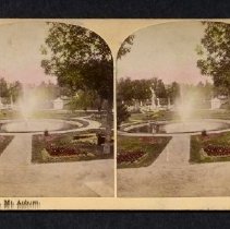 General View, Mt. Auburn