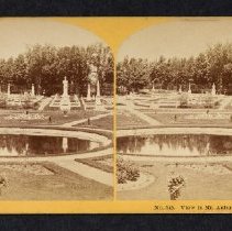 No. 245. View in Mt. Auburn