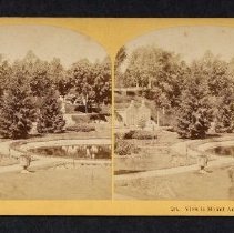 244. View in Mount Auburn