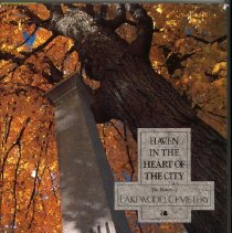 HavenInTheHeartOfTheCity