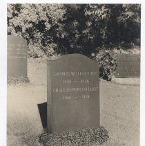 Charles and Grace Eliot Monument