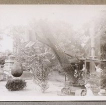 Steam Shovel, Asa Gray Garden Construction, 1948