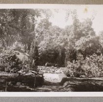 Construction, Asa Gray Garden, 1948