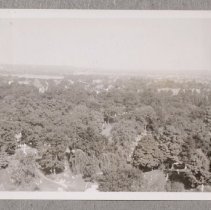 View from Tower, 1948