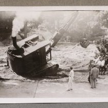 Steam Shovel, Asa Gray Garden, 1948