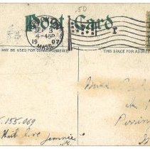 Cambridge, Mass. Washington Elm - verso