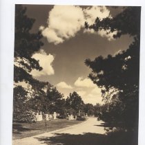 View with Road and Monuments