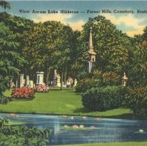 View Across Lake Hibiscus- Forest Hills