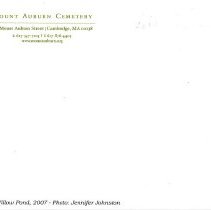 Wildflowers at Willow Pond, 2007 - verso