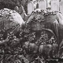 Our Mother, Our Father