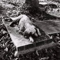 Francis Calley Gray Monument.